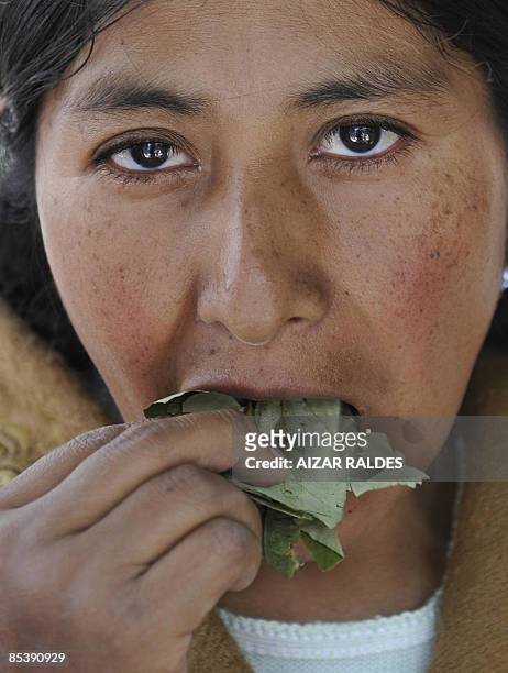 An indigenous woman of the Aymara ethnic group chews coca leaves during a rally in La Paz on March 11, 2009. Several organizations of indigenous...
