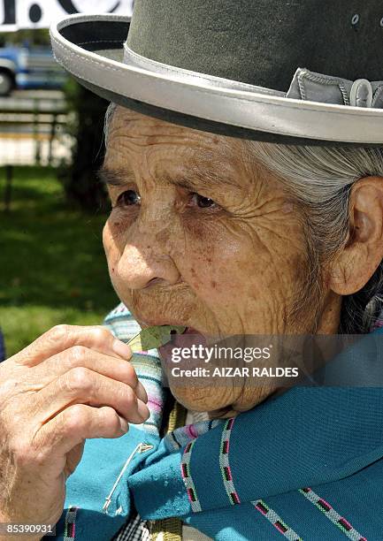 An indigenous woman of the Aymara ethnic group chews coca leaves during a rally in La Paz March 11, 2009. Several organization of indigenous peasants...