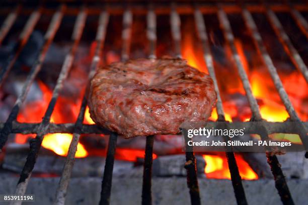 The Bukowski Burger bar in Boxpark Shoreditch east London, which serves a Fat Gringo burger, the beef patty is cooked in a chargrill oven before...