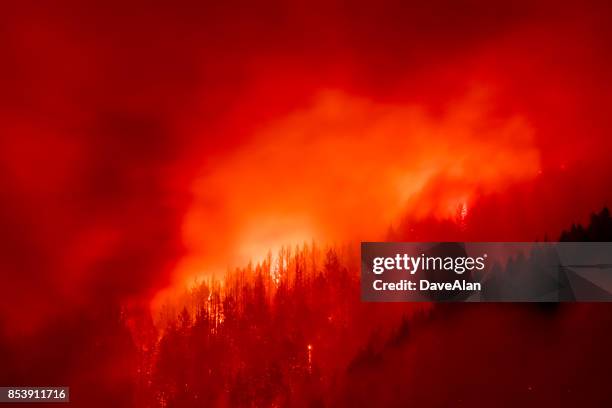 Eagle Creek Fire