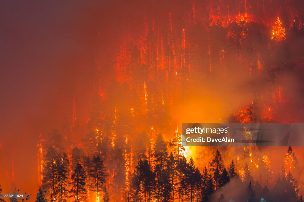 Columbia River Gorge Fire