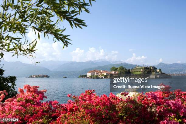 italy. piedimont. lake maggiore. - マジョーレ湖 ストックフォトと画像