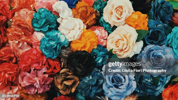 flower wall - blue rose stock pictures, royalty-free photos & images