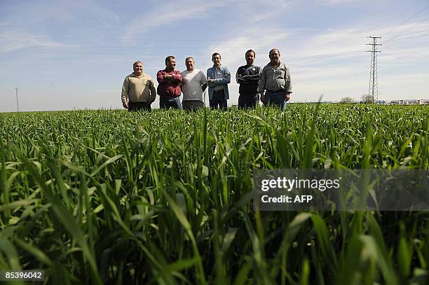 Finance-économie-Espagne-BTP-agriculture-social" Residents of La Lantejuala, Francisco Garcia, mayor Juan Vega, Jose Andujar, Francisco Pedroza,...