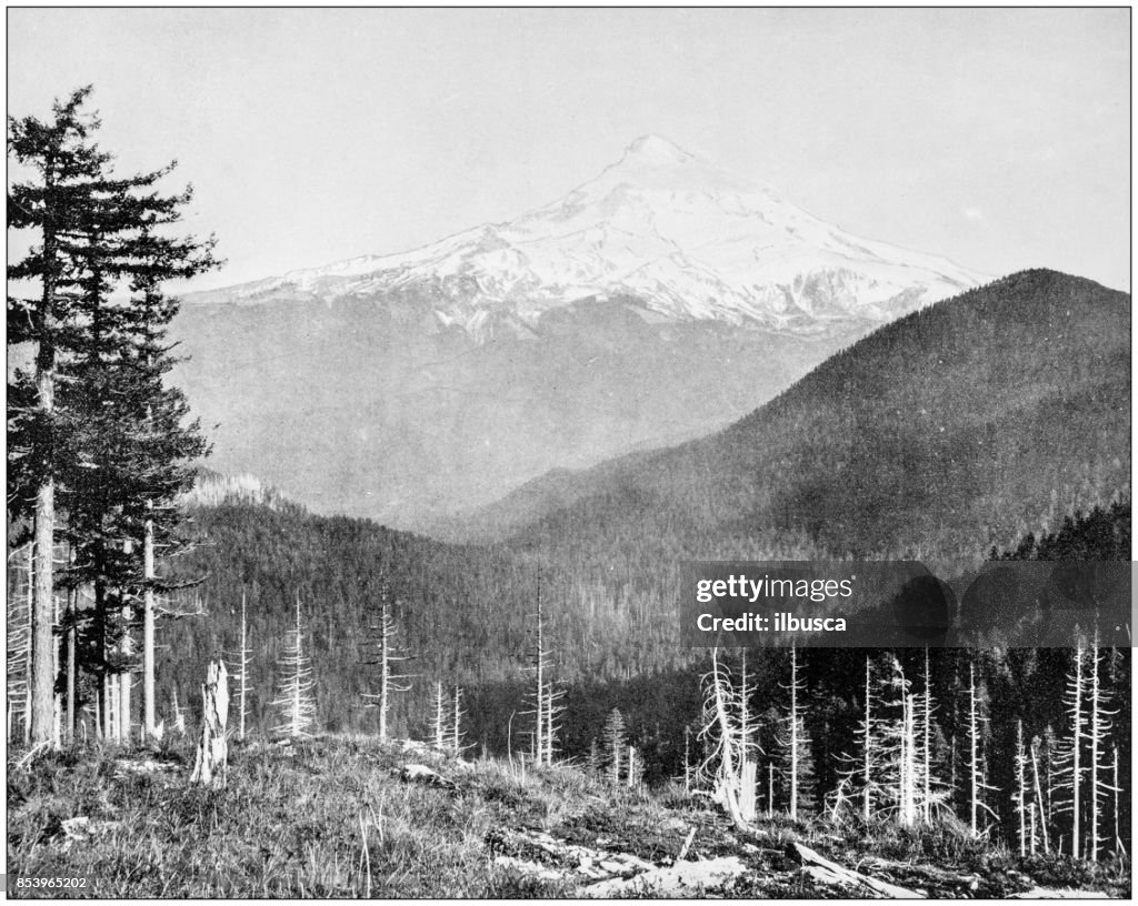 Antique photograph of World's famous sites: Mount Hood, Oregon, US