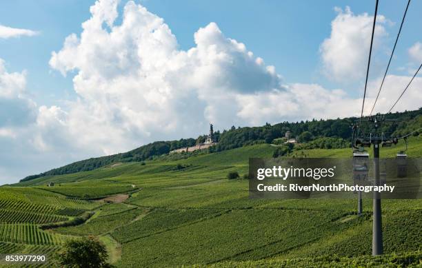 rheingau winegrowing region near rüdesheim - weinreben stock pictures, royalty-free photos & images