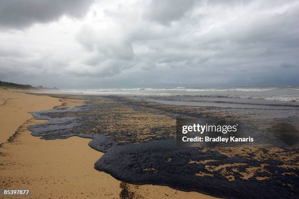 Fuel and ammonium nitrate is seen on Buddina Beach on the Sunshine Coast as a result of the oil slick which escaped from the container ship 'Pacific...