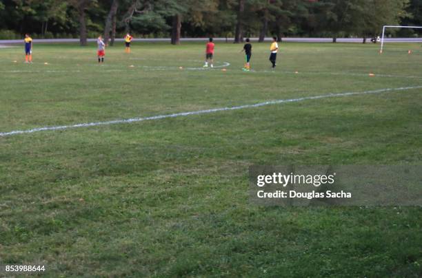 soccer sports game out of focus - guard american football player 個照片及圖片檔