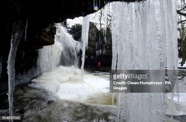 Man checks the size of the icicles at Gibson's Cave in Teesdale today as temperatures have reached -5.