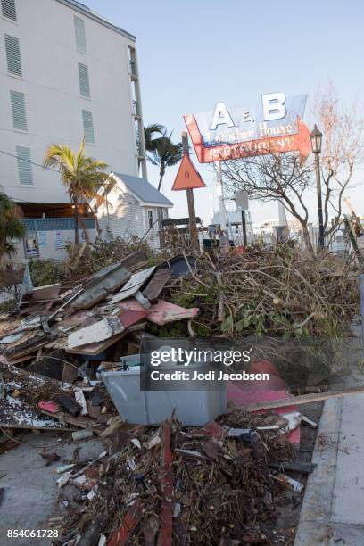 aftermath of a hurricane on key west leaves debris is piled up in the street - jodi west stock pictures, royalty-free photos & images