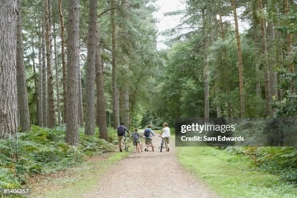 familie gehen mit fahrrädern im wald - discovery bags walking stock-fotos und bilder