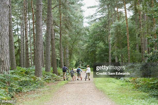 family walking with bicycles in woods - discovery bags walking stockfoto's en -beelden