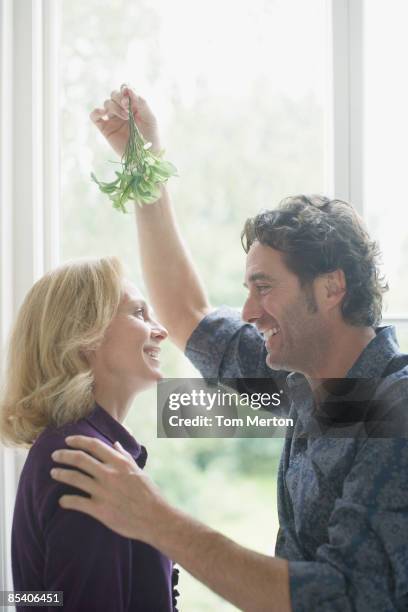 couple kissing underneath mistletoe - tom chance stock pictures, royalty-free photos & images