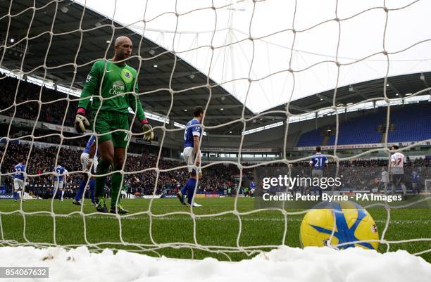 Everton goalkeeper Tim Howard looks dejected after conceeding a goal