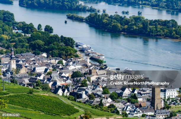 rüdesheim, rheingau - weinreben stock pictures, royalty-free photos & images