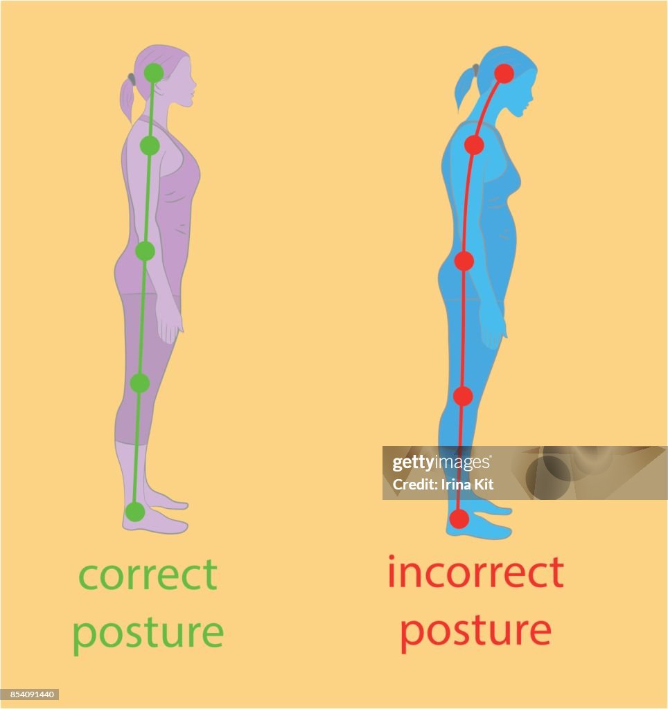 Correct Alignment Of Human Body In Standing Posture For Good ... Biology Diagrams