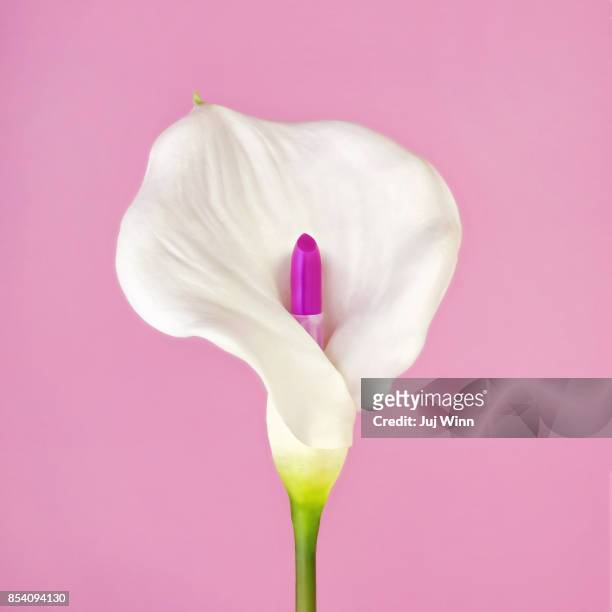 white calla flower with lipstick iris - aronskelk stockfoto's en -beelden