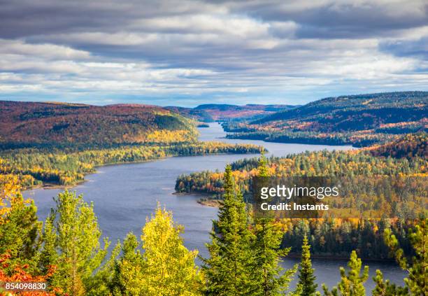 fall colors in la mauricie national park with wapizagonke lake and its île aux pins (pine island), in québec, canada. - quebec stock pictures, royalty-free photos & images