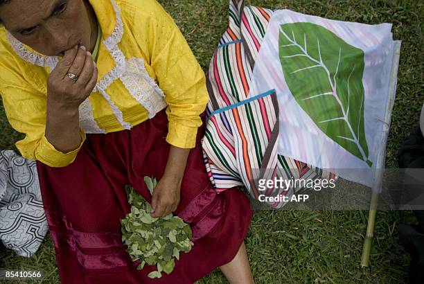 Woman chews coca leaves during a march to demand the legalization of the coca cultures, in Lima March 12, 2009. Coca growers from Peru and Bolivia on...