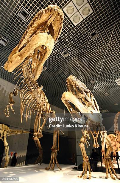 Mapusaurus Photos and Premium High Res Pictures - Getty Images