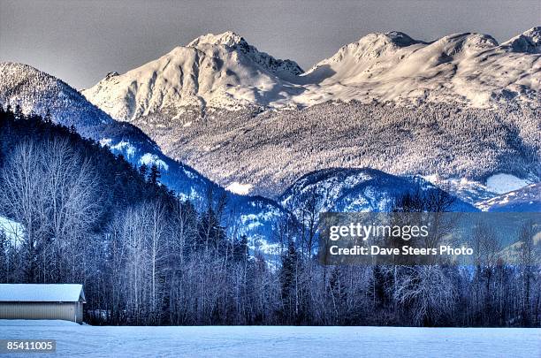 pemberton valley - pemberton valley stock pictures, royalty-free photos & images