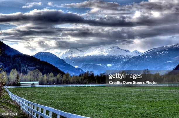 looking up the meadows - pemberton valley stock pictures, royalty-free photos & images