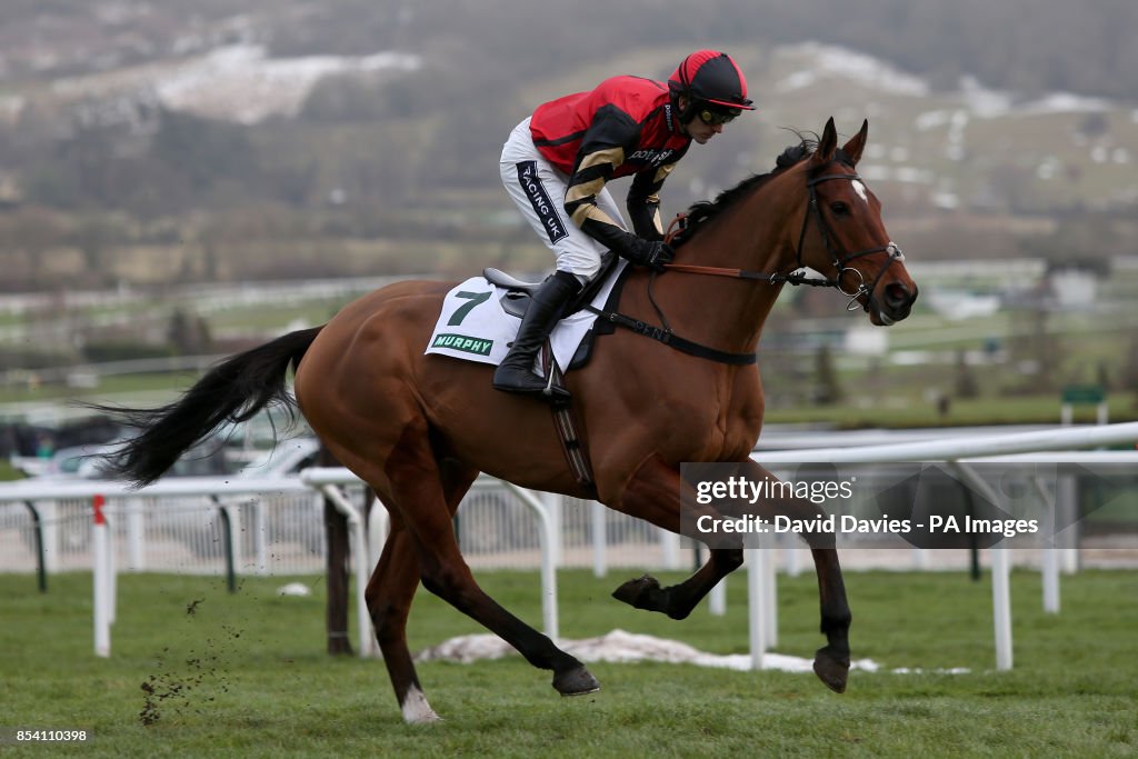 Horse Racing - Festival Trials Day - Cheltenham Racecourse
