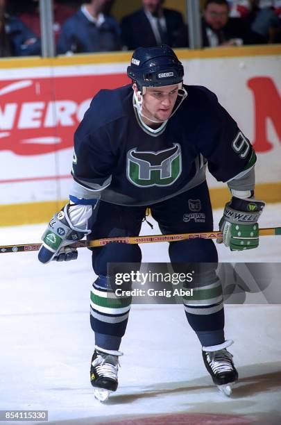 Jeff O'Neill of the Hartford Whalers skates against the Toronto Maple Leafs during NHL game action on November 24, 1995 at Maple Leaf Gardens in...