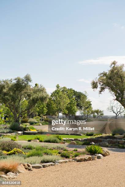 desert garden - paso robles stockfoto's en -beelden