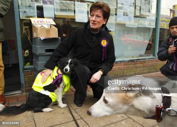 The UKIP prospective candidate Diane James on the hustings in Eastleigh, Hampshire where a by-election will be held on February 28th following the...