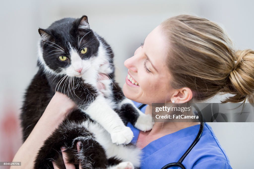 Holding A Kitty