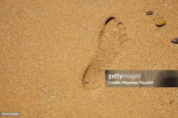 footprint on the read sand - massimo pizzotti stock pictures, royalty-free photos & images