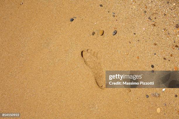 footprint on the read sand - massimo pizzotti stock pictures, royalty-free photos & images