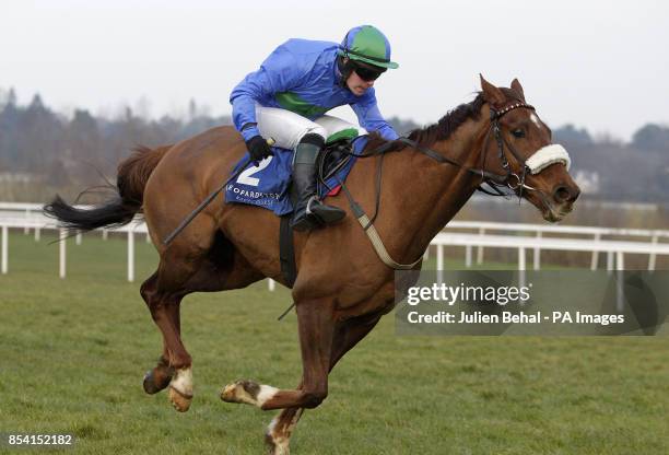 Shane Shortall 897 Shane Handler Photos & High Res Pictures - Getty Images