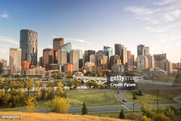 de skyline van downtown calgary alberta canada - calgary stockfoto's en -beelden