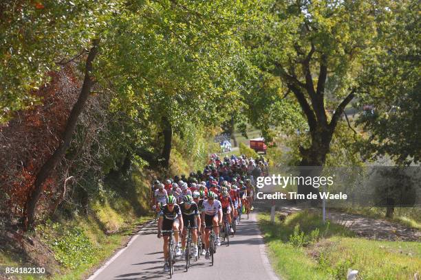 89th Giro Della Toscana 2017 / Stage 1 Peloton / Trees / Team Dimension Data / Landscape / Pontedera - Pontedera / Memorial Alfredo Martini / GDT /