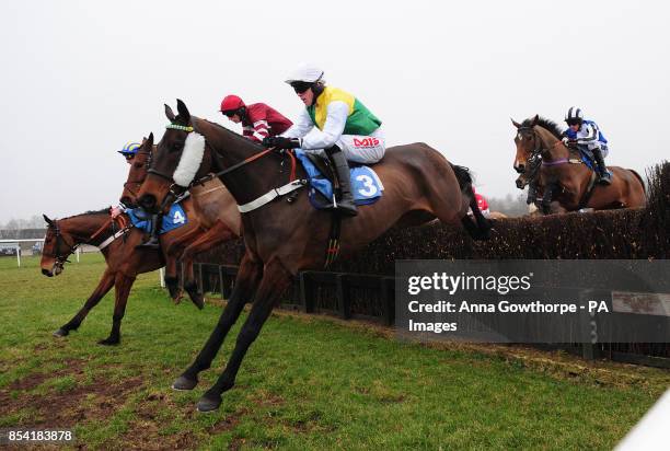 The field makes its way over a fence during the Dine and View at Catterick Races Novices' Handicap Steeple Race at Catterick Racecourse, Richmond.