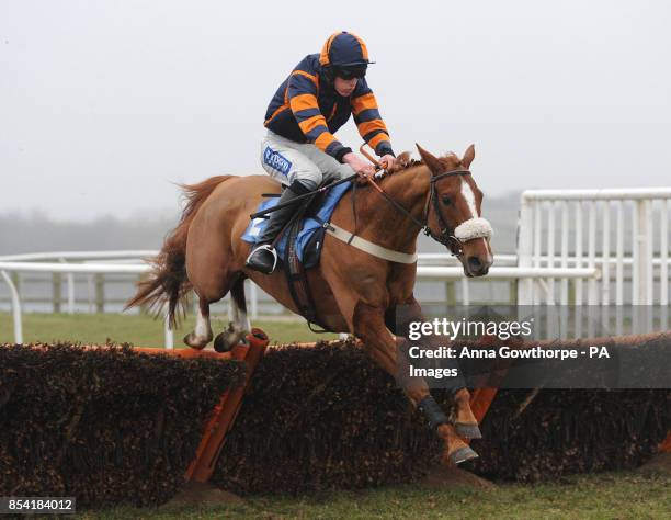 Amber Cloud ridden by Harry Chaloner clears the last to win the Follow Us on Twitter@CatterickRaces Mares' Novices' Hurdle race at Catterick...