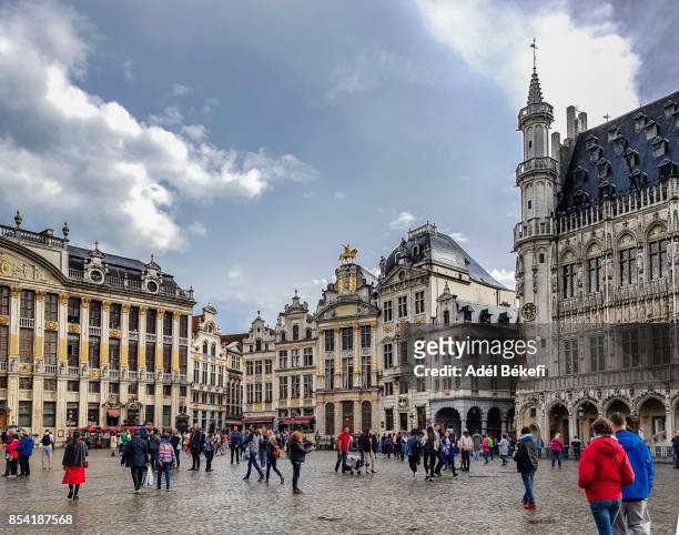 grand place brussels (belgium) - general view stock pictures, royalty-free photos & images