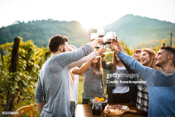 amici che fanno una degustazione di vini - napa valley foto e immagini stock