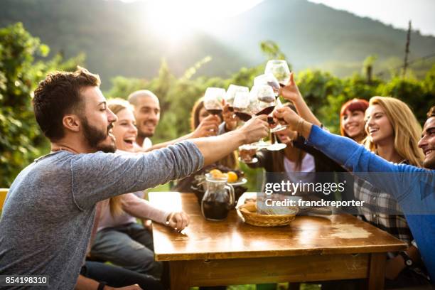 amici che fanno una degustazione di vini - tourist group foto e immagini stock