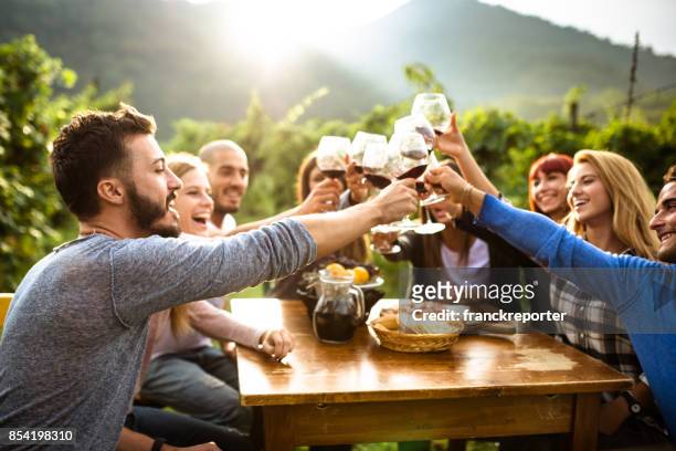 friends doing a wine tasting - tourism stock pictures, royalty-free photos & images