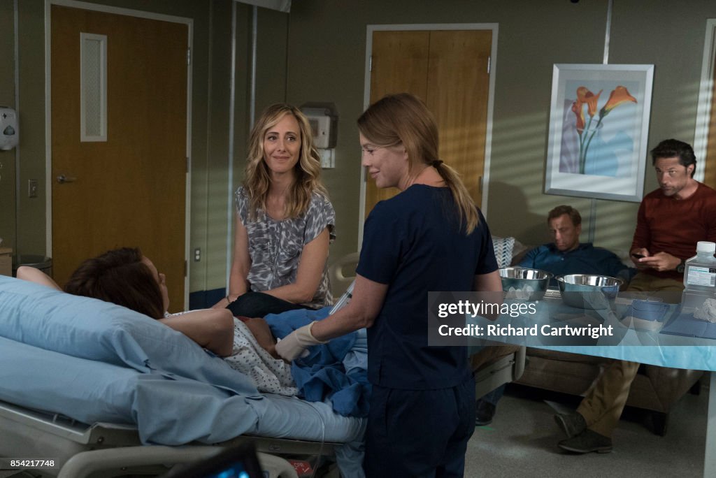 ABC's "Grey's Anatomy" - Season Fourteen