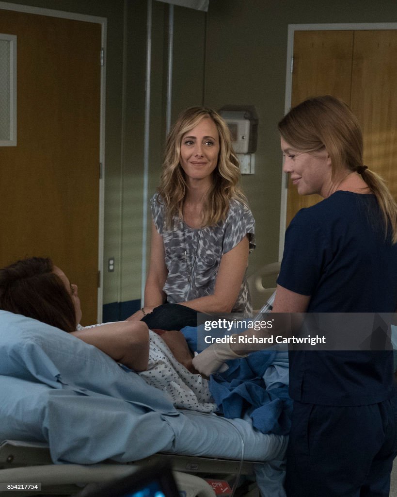 ABC's "Grey's Anatomy" - Season Fourteen