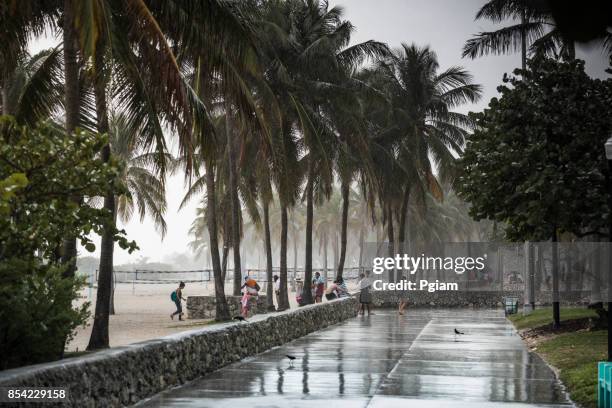 rain falls on the art deco district of south beach miami florida usa - deko bad stock pictures, royalty-free photos & images