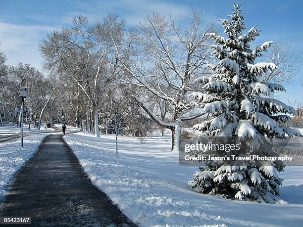 april fool's snow - minneapolis winter stock pictures, royalty-free photos & images