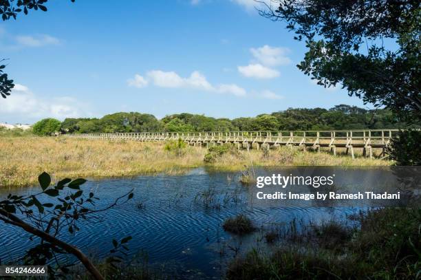 public bridge/boardwalk in rio vermelho - vermelho stock pictures, royalty-free photos & images