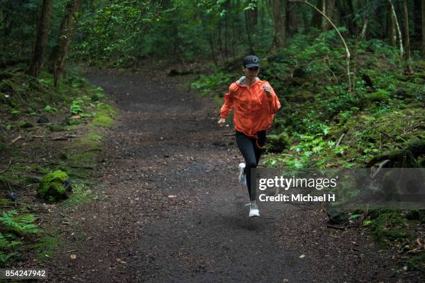 Runner In Woods 2,552 A H Woods Stock Photos, High-Res Pictures, and Images - Getty Images
