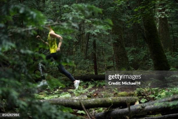 Runner In Woods 2,566 A H Woods Stock Photos, High-Res Pictures, and Images - Getty Images