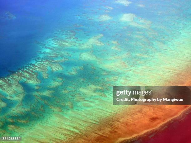 great barrier reef - recife fenômeno natural - fotografias e filmes do acervo